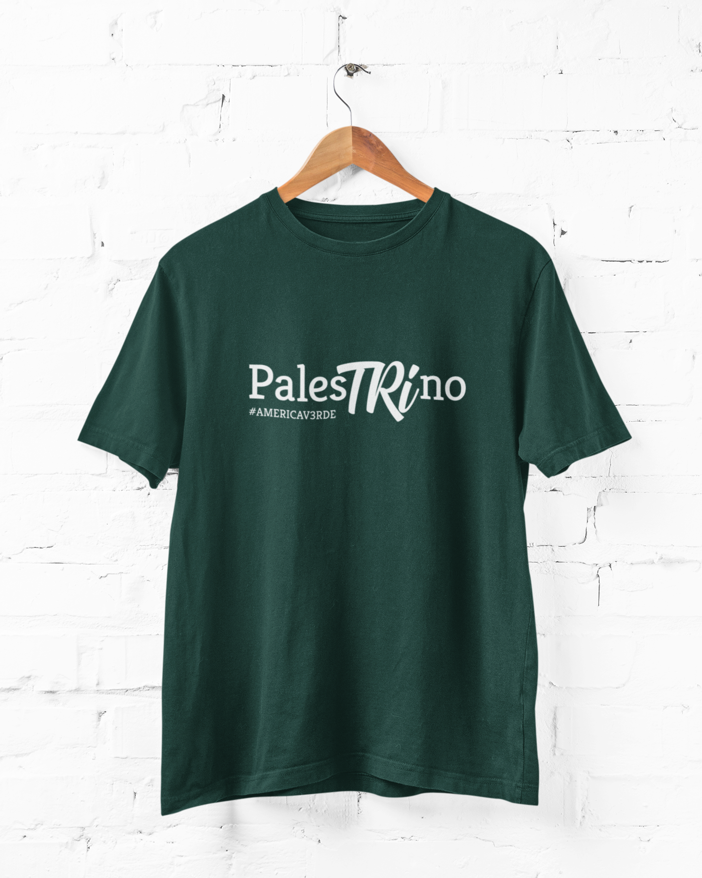 Camiseta Palestrino da América